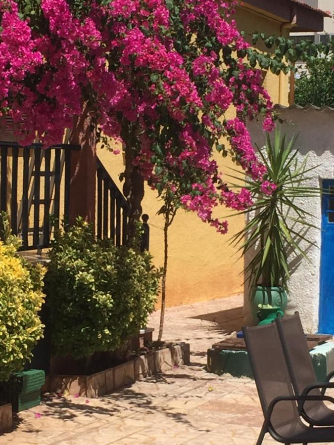 Cosy Guesthouse-Souterrain With Garden In City Center Corinth Luaran gambar
