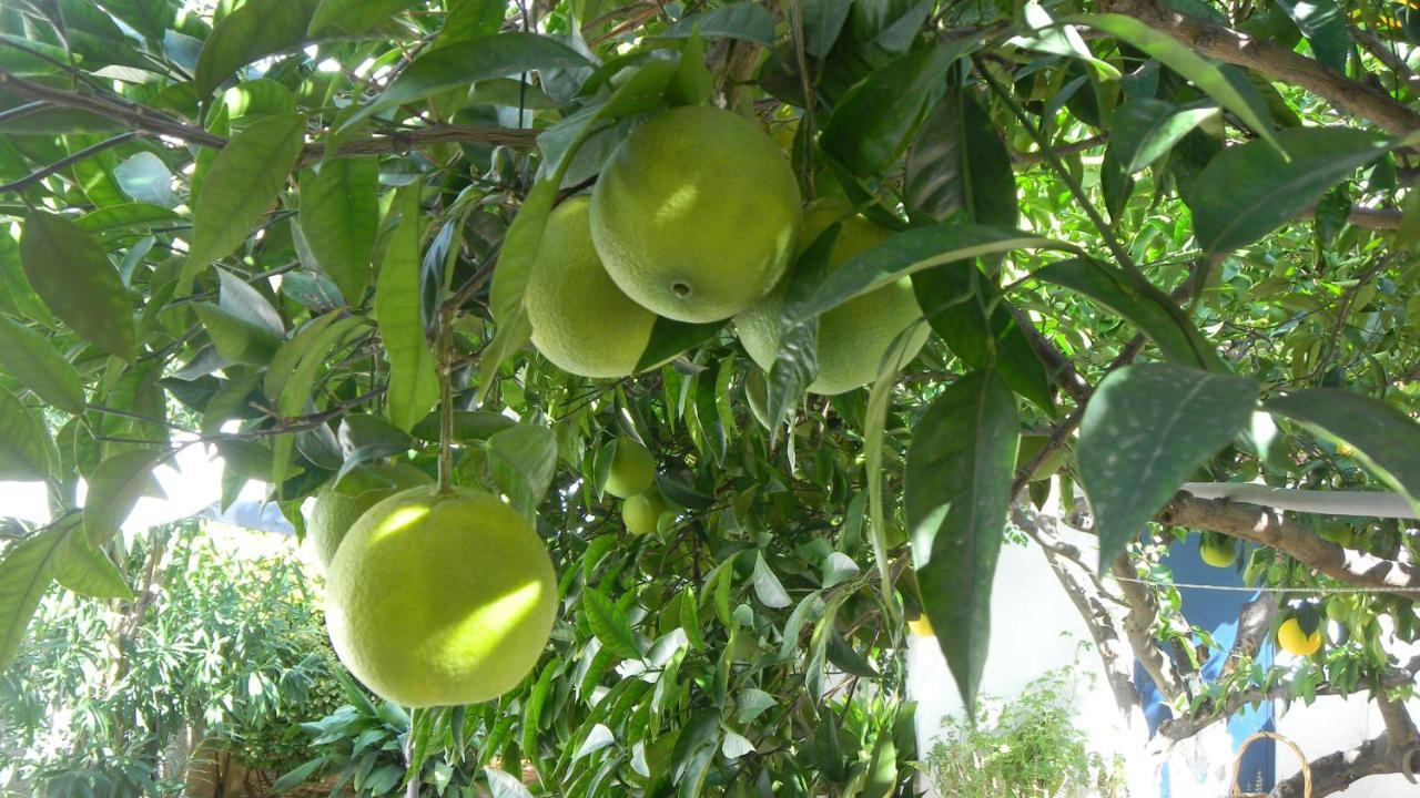 Cosy Guesthouse-Souterrain With Garden In City Center Corinth Luaran gambar